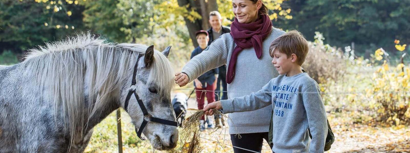 Mamma och son klappar en häst.