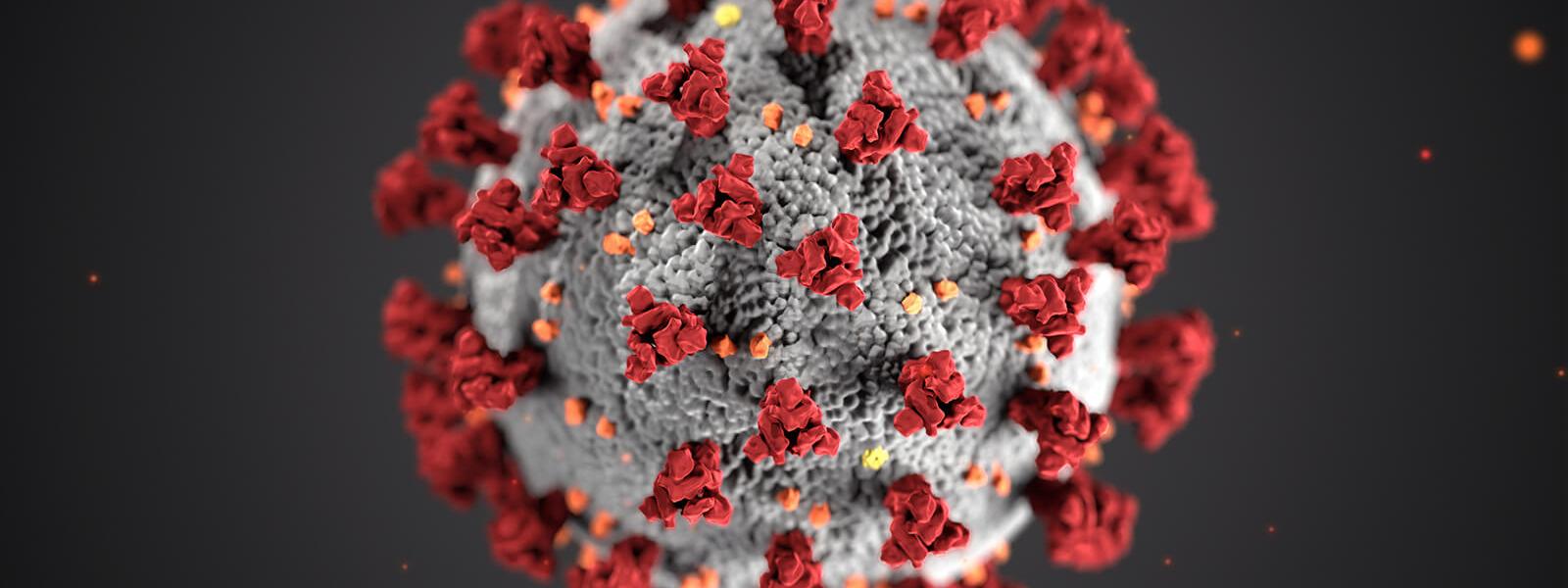 coronavirus