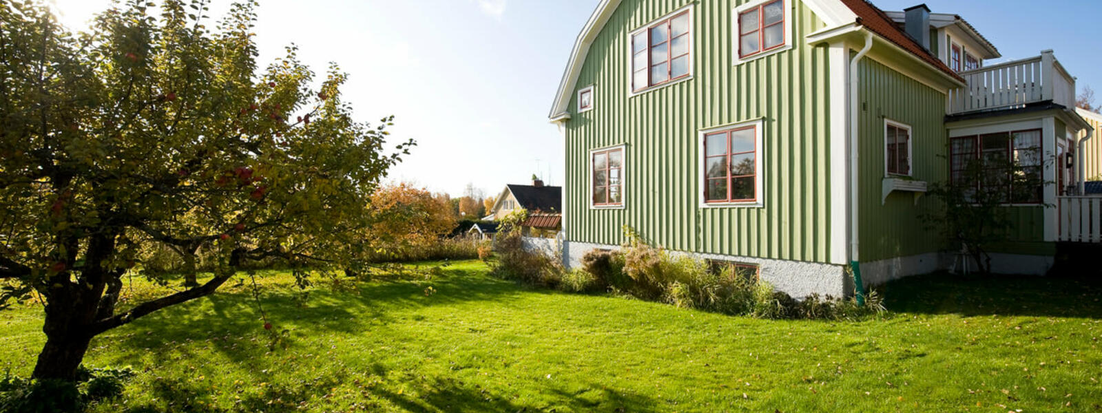 En grön villa och en trädgård med ett äppleträd