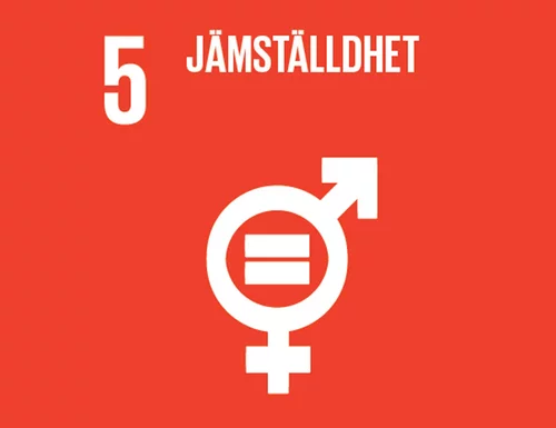 En bild på världsmål 5. Jämställdhet.