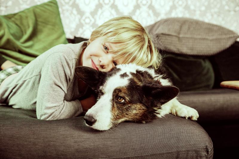 Pojke kramar hund i soffan