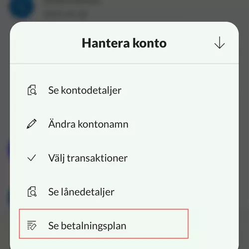 Se betalplan