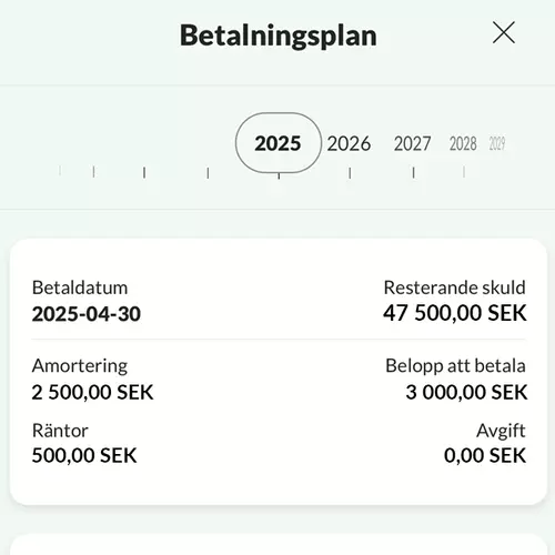 Betalplan år för år