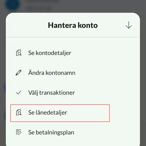 Se lånedetaljer