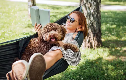 Kvinna läser en bok med sin hund i en hängmatta