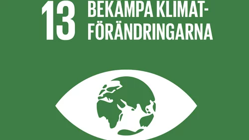 En bild på världsmål 13. Bekämpa klimatförändringar.